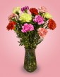 Mixed Carnations