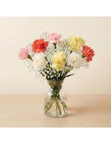 Sweet Carnations