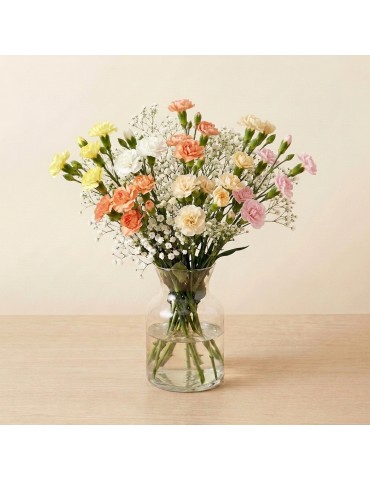 Carnation Medley