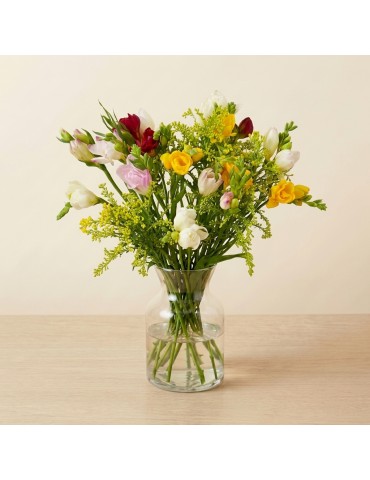 Freesia Charm