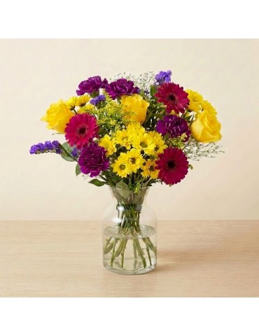Carnival Brights